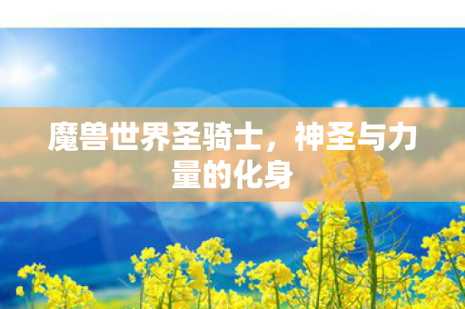 魔兽世界圣骑士，神圣与力量的化身