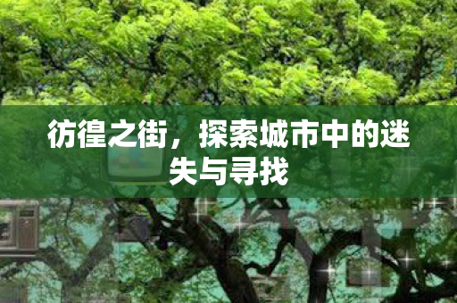 彷徨之街，探索城市中的迷失与寻找