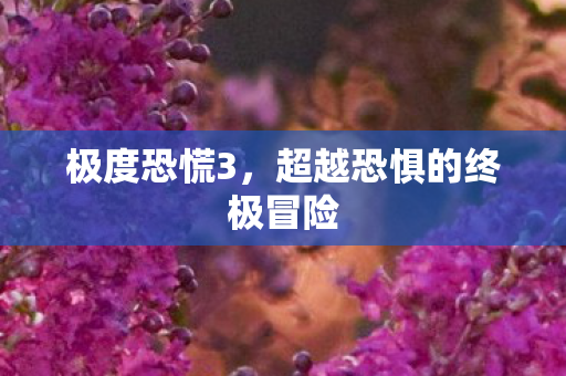 极度恐慌3，超越恐惧的终极冒险