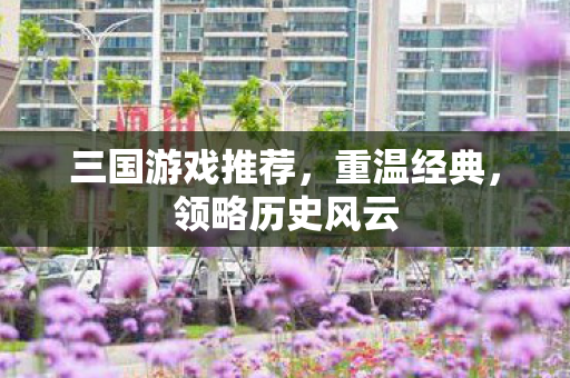 三国游戏推荐，重温经典，领略历史风云