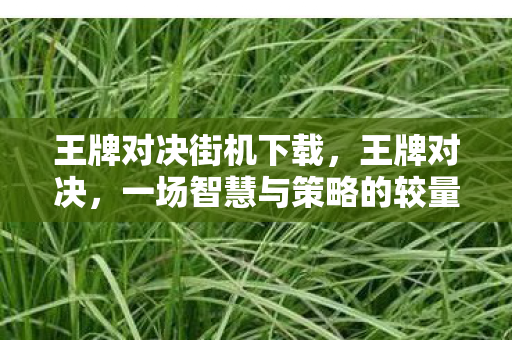 王牌对决街机下载，王牌对决，一场智慧与策略的较量