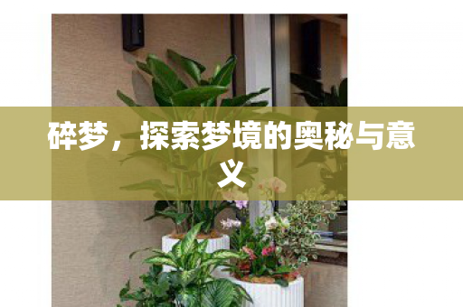 碎梦，探索梦境的奥秘与意义