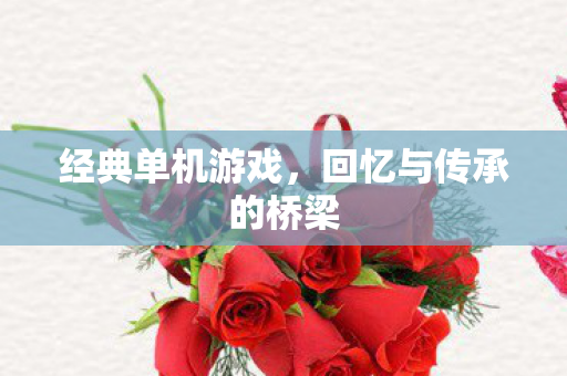 经典单机游戏，回忆与传承的桥梁