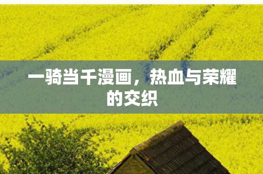 一骑当千漫画，热血与荣耀的交织