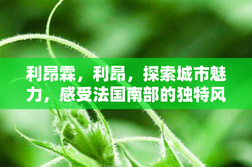 利昂霖,利昂,探索城市魅力,感受法国南部的独特风情 利昂霖,利昂,探索城市魅力,感受法国南部的独特风情
