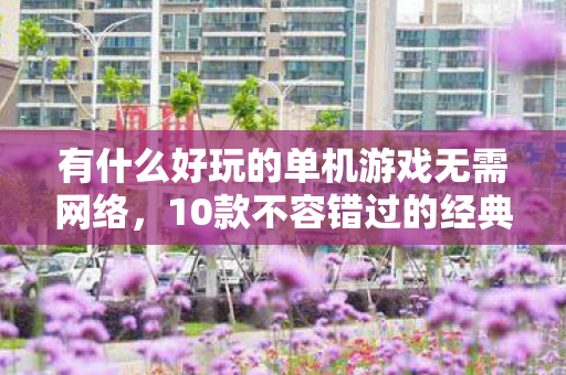 有什么好玩的单机游戏无需网络，10款不容错过的经典单机游戏