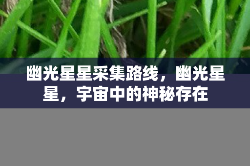 幽光星星采集路线，幽光星星，宇宙中的神秘存在