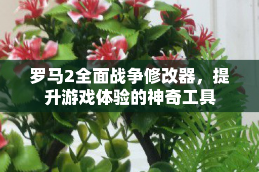罗马2全面战争修改器，提升游戏体验的神奇工具