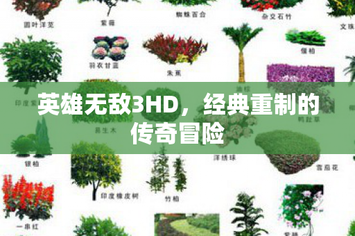英雄无敌3HD，经典重制的传奇冒险