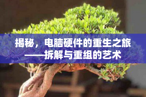 揭秘，电脑硬件的重生之旅——拆解与重组的艺术