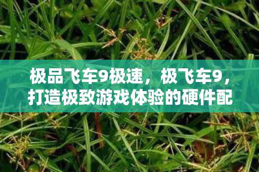 打造极致游戏体验的硬件配置图片