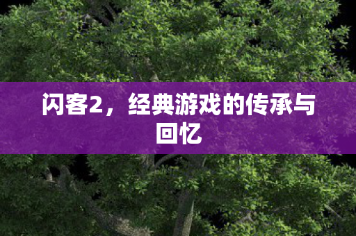 闪客2，经典游戏的传承与回忆