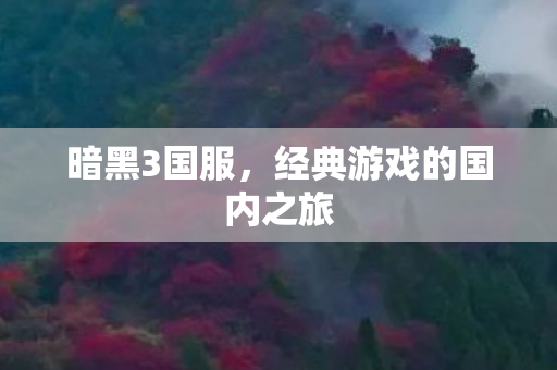 暗黑3国服,经典游戏的国内之旅 暗黑3国服,经典游戏的国内之旅