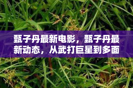 甄子丹最新电影,甄子丹最新动态,从武打巨星到多面艺术家的蜕变 甄子丹最新电影,甄子丹最新动态,从武打巨星到多面艺术家的蜕变