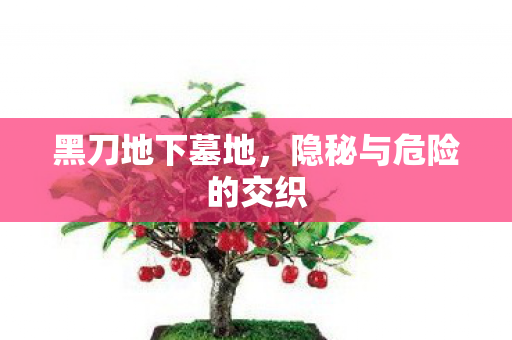 黑刀地下墓地，隐秘与危险的交织