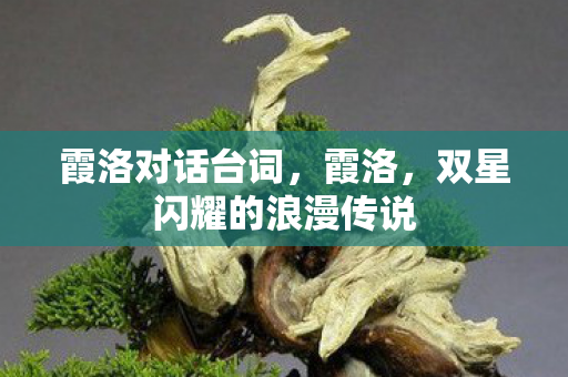 霞洛对话台词,霞洛,双星闪耀的浪漫传说 霞洛对话台词,霞洛,双星闪耀的浪漫传说