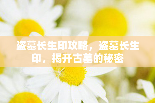 盗墓长生印攻略，盗墓长生印，揭开古墓的秘密