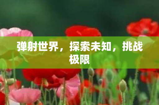 弹射世界，探索未知，挑战极限