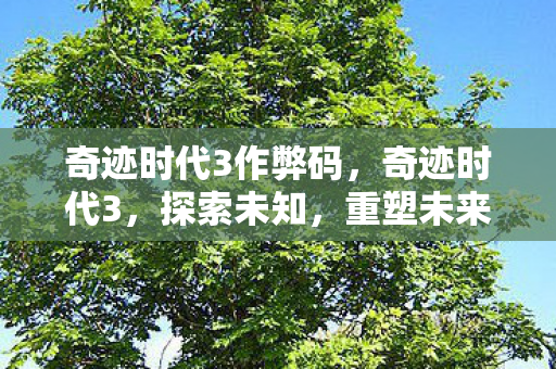 奇迹时代3作弊码,奇迹时代3,探索未知,重塑未来 奇迹时代3作弊码,奇迹时代3,探索未知,重塑未来