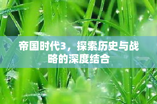 帝国时代3,探索历史与战略的深度结合 帝国时代3,探索历史与战略的深度结合