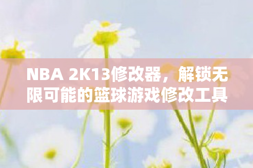 解锁无限可能的篮球游戏修改工具图片