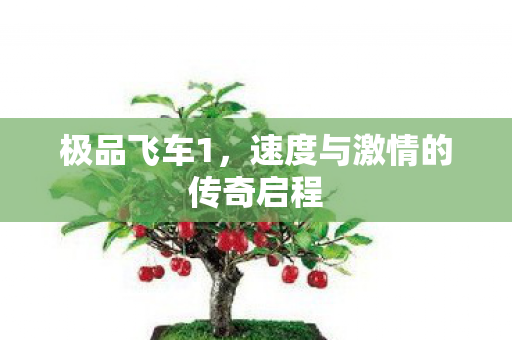 极品飞车1，速度与激情的传奇启程