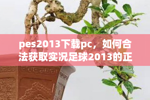 pes2013下载pc,如何合法获取实况足球2013的正版游戏体验 pes2013下载pc,如何合法获取实况足球2013的正版游戏体验