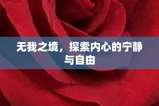 无我之境，探索内心的宁静与自由