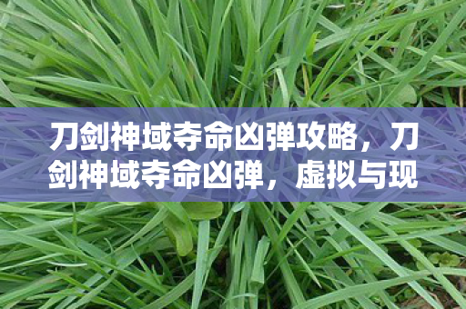 刀剑神域夺命凶弹攻略，刀剑神域夺命凶弹，虚拟与现实交织的冒险