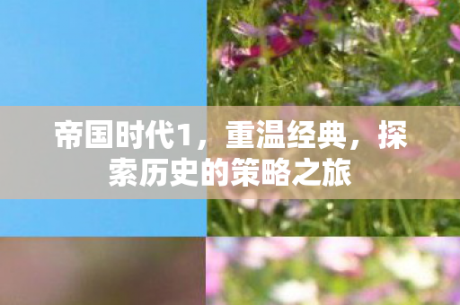 帝国时代1,重温经典,探索历史的策略之旅 帝国时代1,重温经典,探索历史的策略之旅