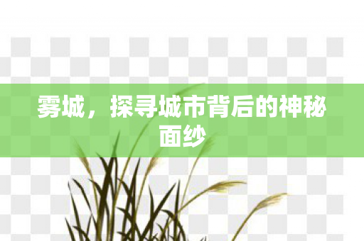 雾城，探寻城市背后的神秘面纱