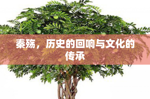 秦殇，历史的回响与文化的传承