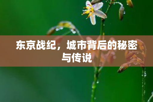 东京战纪，城市背后的秘密与传说
