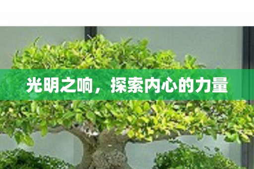 光明之响，探索内心的力量