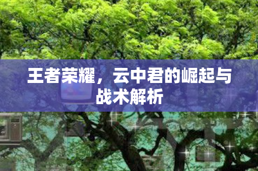 王者荣耀，云中君的崛起与战术解析