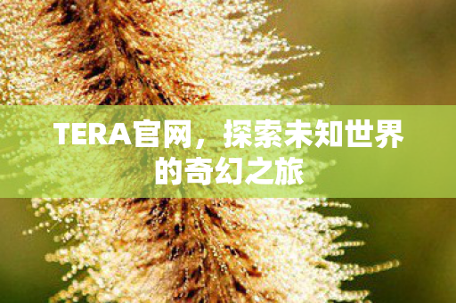 TERA官网,探索未知世界的奇幻之旅 TERA官网,探索未知世界的奇幻之旅