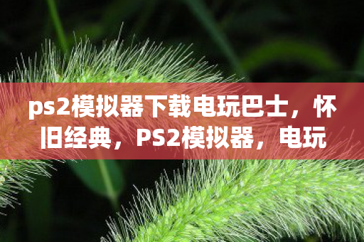 ps2模拟器下载电玩巴士图片