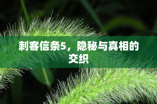 刺客信条5，隐秘与真相的交织