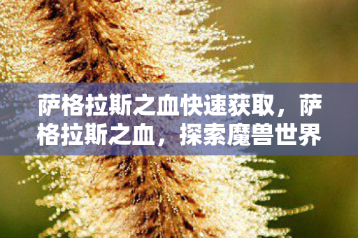 萨格拉斯之血快速获取,萨格拉斯之血,探索魔兽世界的神秘力量 萨格拉斯之血快速获取,萨格拉斯之血,探索魔兽世界的神秘力量