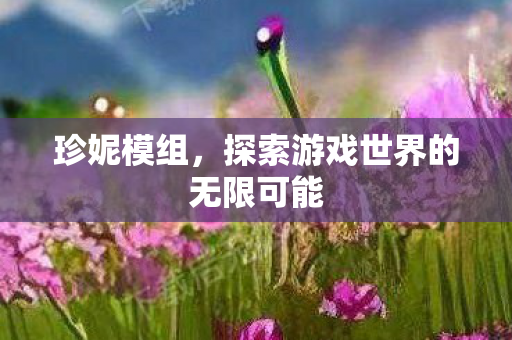 珍妮模组，探索游戏世界的无限可能