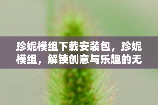 珍妮模组下载安装包，珍妮模组，解锁创意与乐趣的无限可能