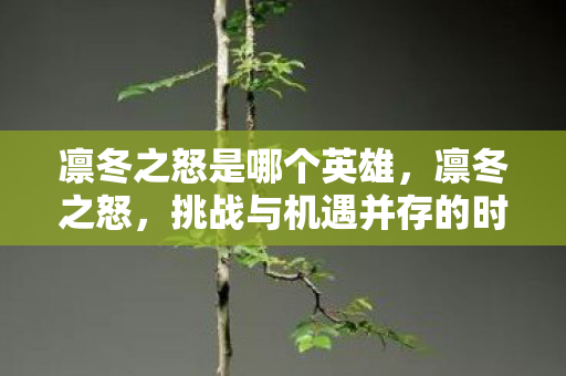 凛冬之怒是哪个英雄，凛冬之怒，挑战与机遇并存的时代