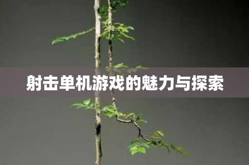 射击单机游戏的魅力与探索