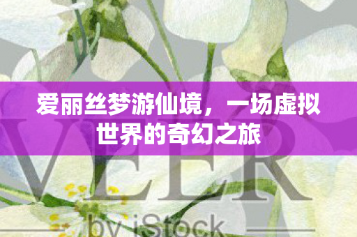 爱丽丝梦游仙境，一场虚拟世界的奇幻之旅