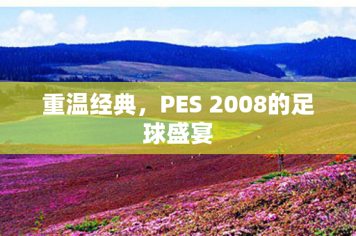 重温经典,PES 2008的足球盛宴 重温经典,PES 2008的足球盛宴