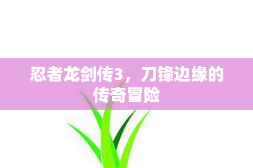 忍者龙剑传3，刀锋边缘的传奇冒险