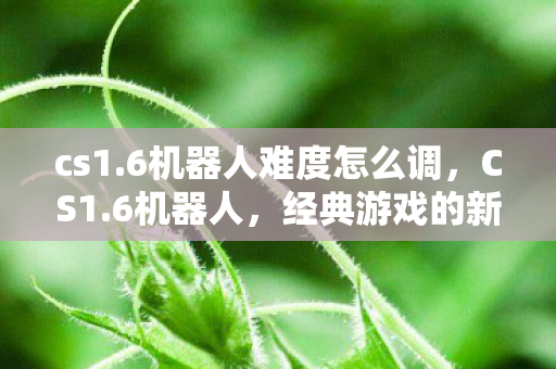 cs1.6机器人难度怎么调，CS1.6机器人，经典游戏的新生命