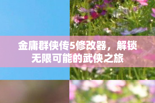 金庸群侠传5修改器，解锁无限可能的武侠之旅