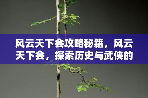 风云天下会攻略秘籍，风云天下会，探索历史与武侠的交汇点