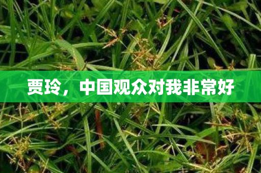 贾玲，中国观众对我非常好